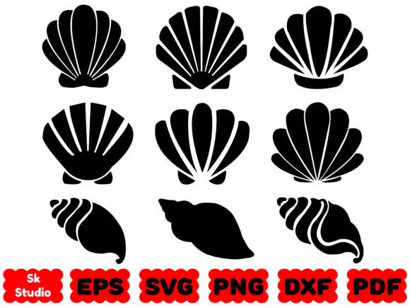 Seashell SVG Seashell SVG Bundle